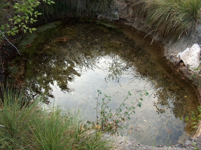 Fuente del Pinillo - imagen 5