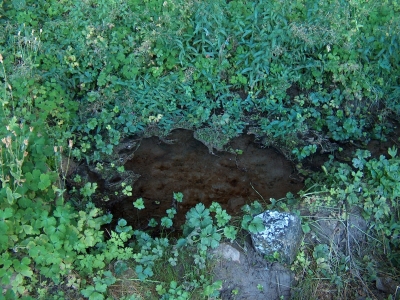 Fuente del Rincón del Nido - imagen 1