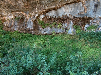 Fuente del Rincón del Nido - imagen 3