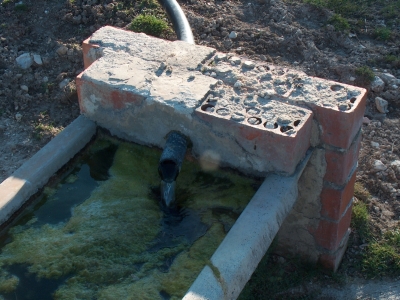 Fuente de la Sabina - imagen 2