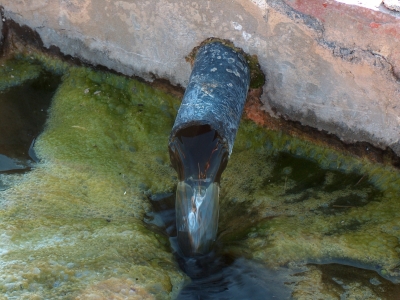 Fuente de la Sabina - imagen 3