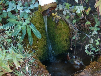 Fuente de la Tía Maricona II - imagen 2