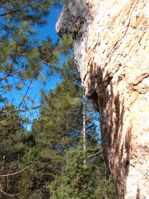 Fuente de la Toba - imagen 6