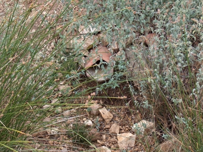 Fuente del Acebillo - imagen 1