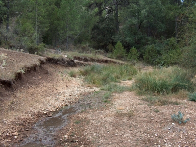 Fuente del Acebillo - imagen 5