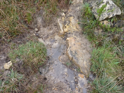Fuente de Aguafría - imagen 2