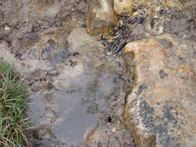 Fuente de Aguafría - imagen 3