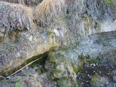 Fuente de las Calenturas - imagen 1
