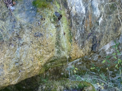 Fuente de las Calenturas - imagen 2