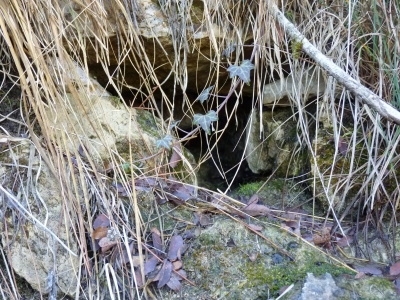Fuente de las Calenturas - imagen 4