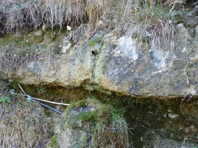 Fuente de las Calenturas - imagen 5