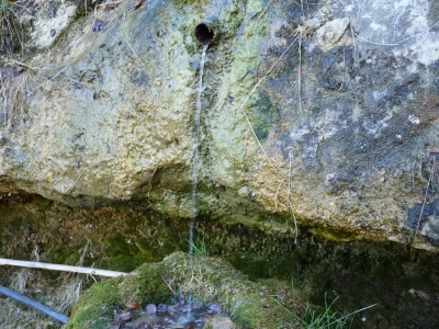 Fuente de las Calenturas - imagen 6