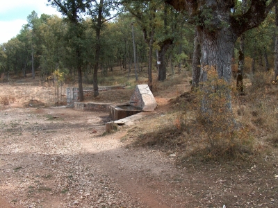 Fuente de los Churtales del domaero - imagen 1
