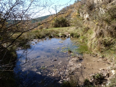 Fuente de la Cueva Doroteo - imagen 2