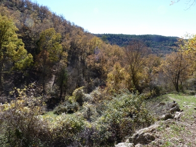 Fuente de la Cueva Doroteo - imagen 6