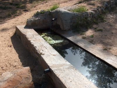Fuente del Domaero - imagen 2