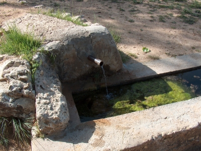 Fuente del Domaero - imagen 4