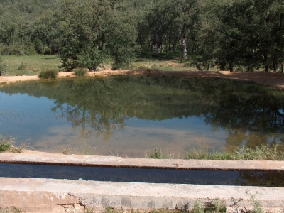 Fuente del Domaero - imagen 6