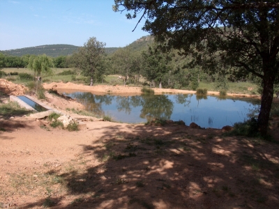 Fuente del Domaero - imagen 7