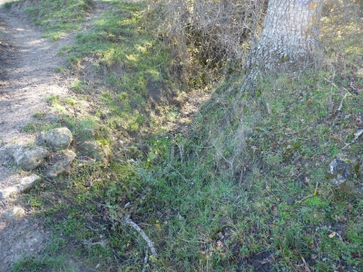 Manantial del Hoyo - imagen 1