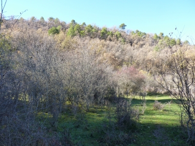 Manantial del Hoyo - imagen 4
