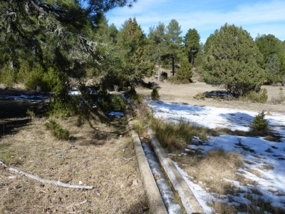 Fuente de la Paloma - imagen 1