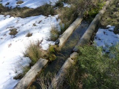Fuente de la Paloma - imagen 2