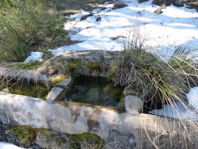 Fuente de la Paloma - imagen 3
