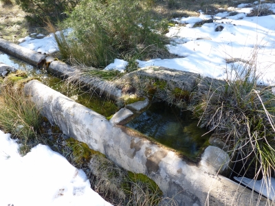 Fuente de la Paloma - imagen 4