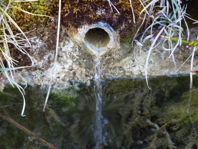 Fuente de la Paloma - imagen 6