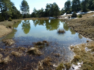 Fuente de la Paloma - imagen 7