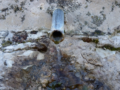 Fuente la Pascualeja - imagen 5
