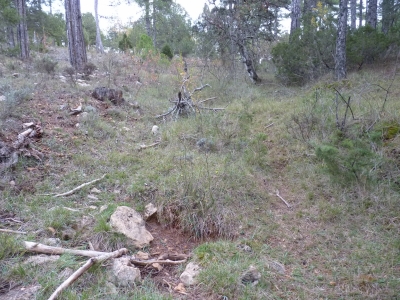 El Peñoncillo - imagen 3