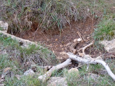 El Peñoncillo - imagen 5