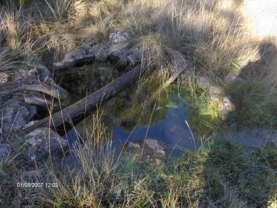 Fuente Pinillo - imagen 4