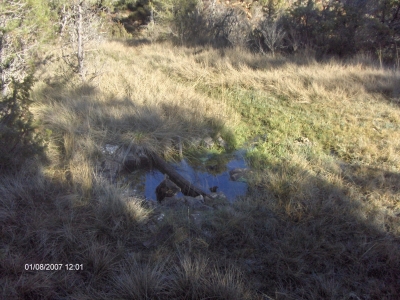 Fuente Pinillo - imagen 5