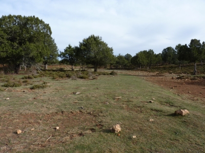 Pocillo de Pedro Martín - imagen 3