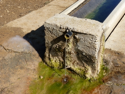 Pozo Barranco - imagen 4