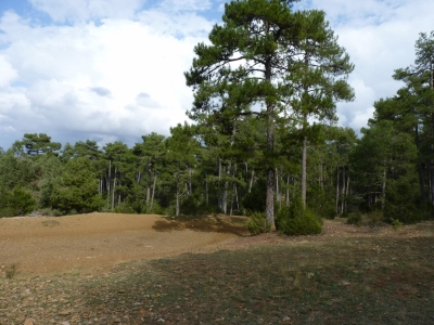 Pozo Coronado - imagen 4