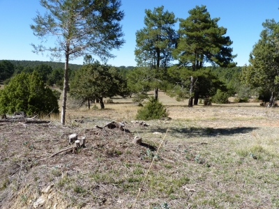 Fuente de Pozorruz - imagen 5