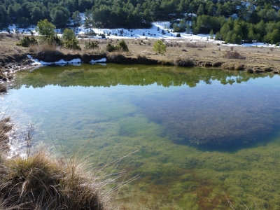 Manantial del Rincón de la Vega - imagen 2