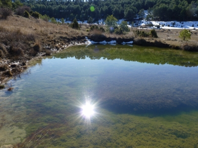 Manantial del Rincón de la Vega - imagen 3