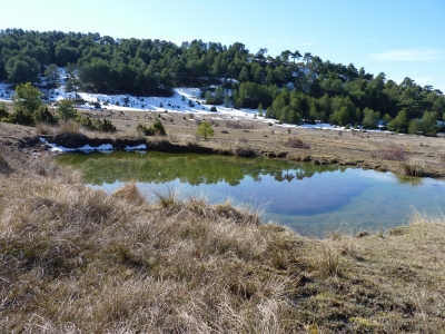 Manantial del Rincón de la Vega - imagen 4