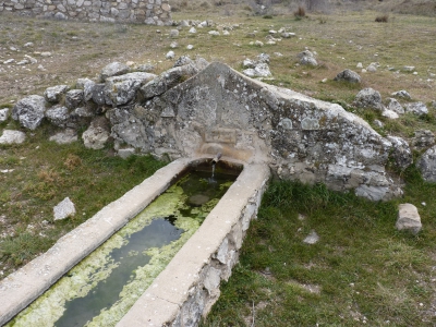 Fuente Amarguilla - imagen 1
