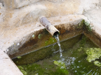 Fuente Amarguilla - imagen 3