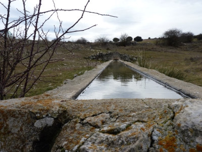 Fuente Amarguilla - imagen 4