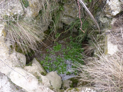 Fuente Amarguilla - imagen 6