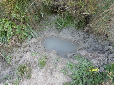 Fuente del Colmenar - imagen 3