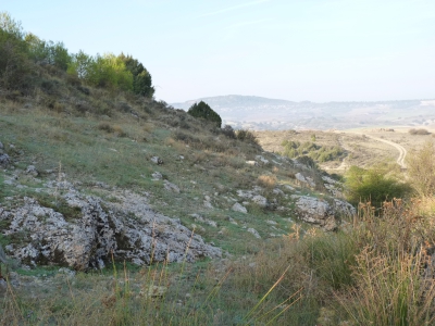 Fuente del Colmenar - imagen 4