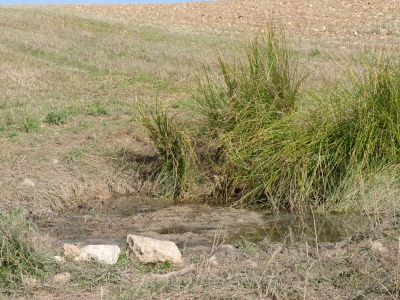 Fuente del Cubillo - imagen 2